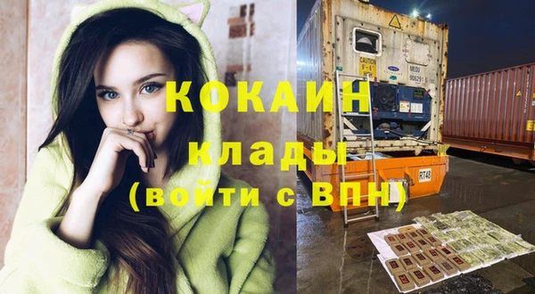соль ск Арсеньев