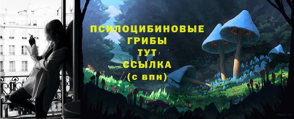 гидропоника Аркадак